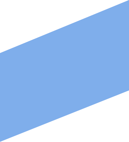 vector-bg